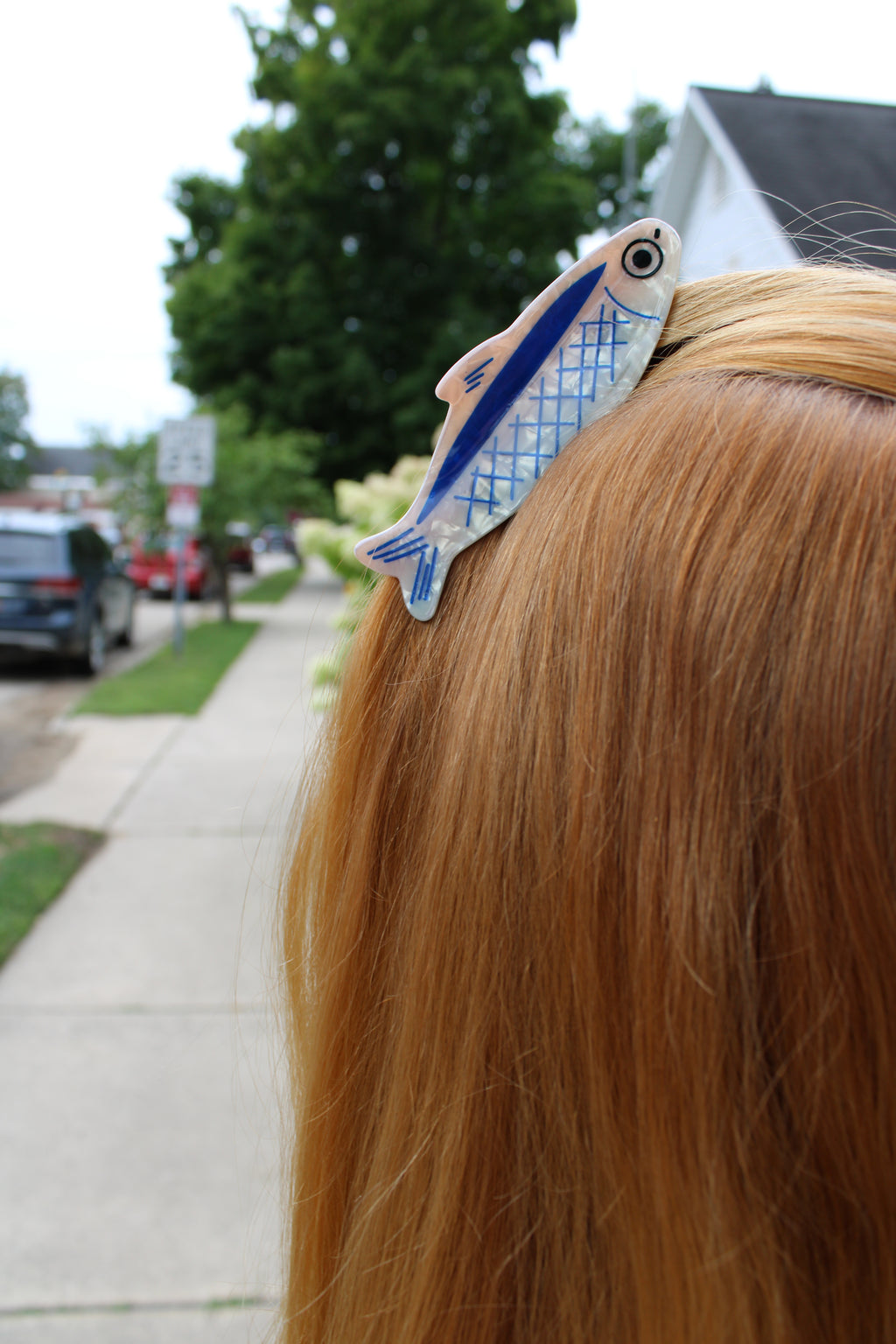 The Sardine Clip