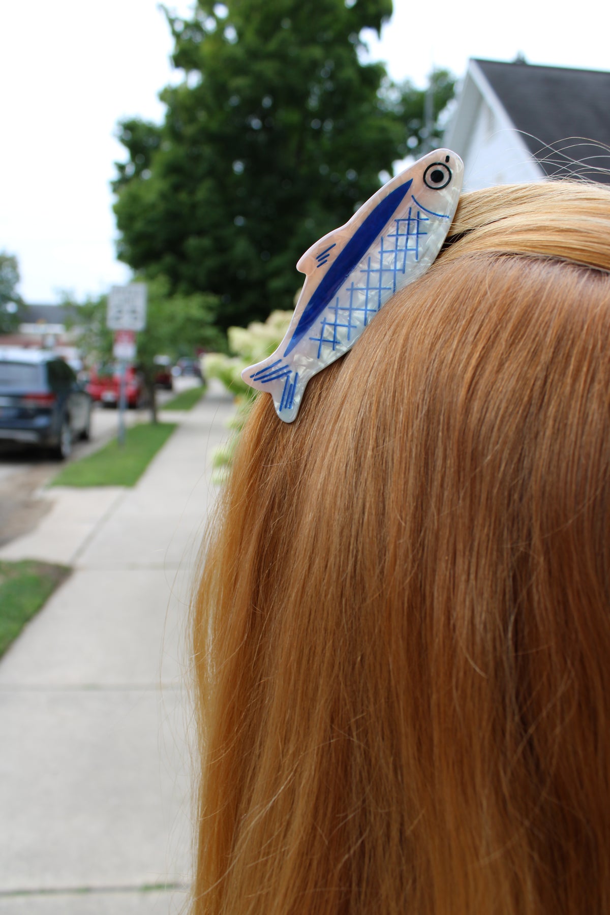 The Sardine Clip